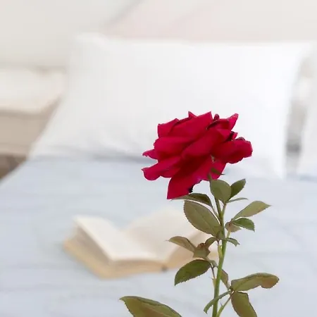 Ξενοδοχείο Areti 3*